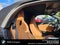 2026 BMW Z4 M40i M40i