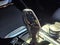 2021 BMW X3 sDrive30i sDrive30i