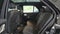 2026 Mercedes-Benz GLE 450 4MATIC® SUV