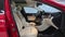 2019 Mercedes-Benz GLA 250 4MATIC® SUV