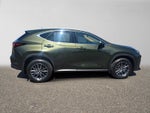 2026 Lexus NX 350 PREMIUM