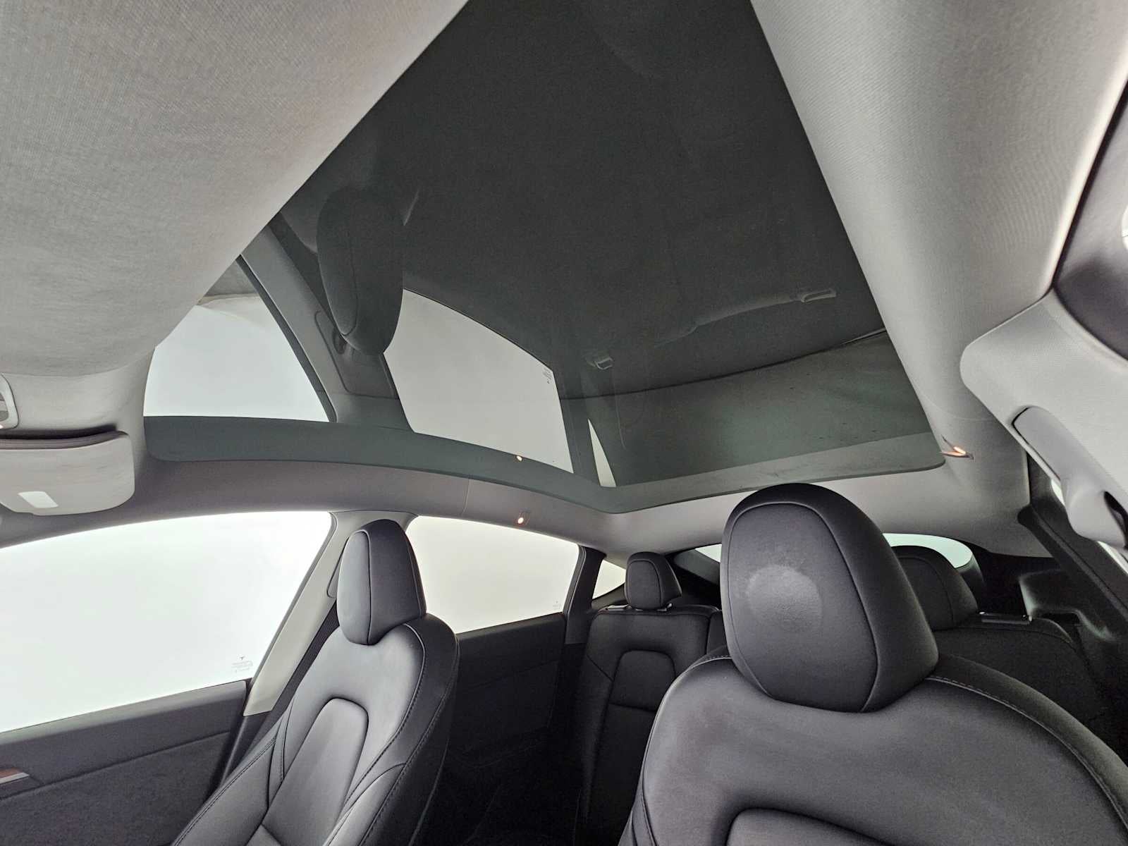 2023 Tesla Model Y RWD