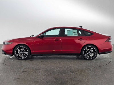 2026 Honda Accord Sport