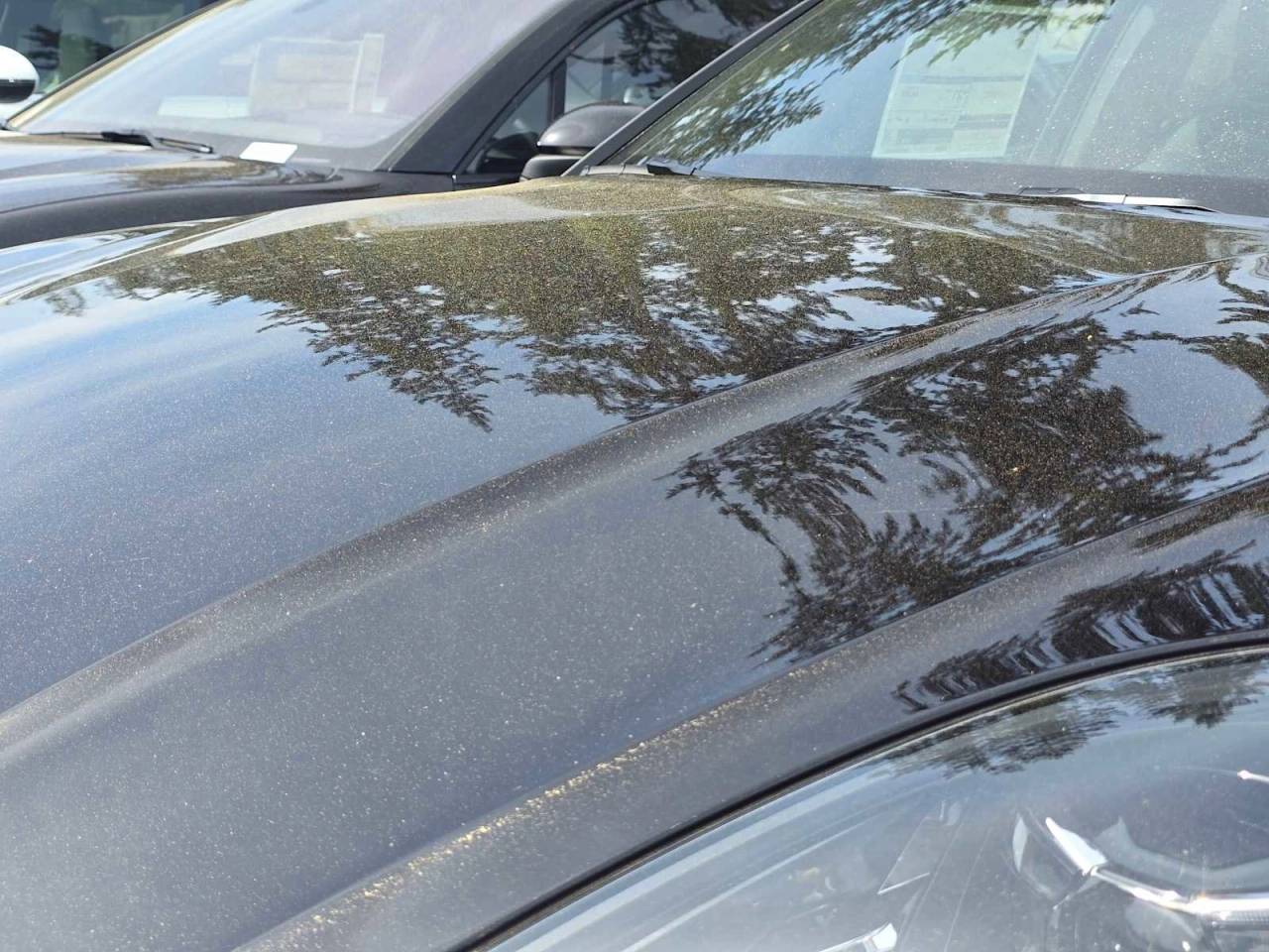 2026 Porsche Panamera 4