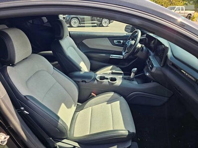 2024 Ford Mustang EcoBoost