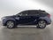 2023 Lexus RX 350h Premium
