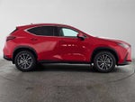 2024 Lexus NX 250 Premium