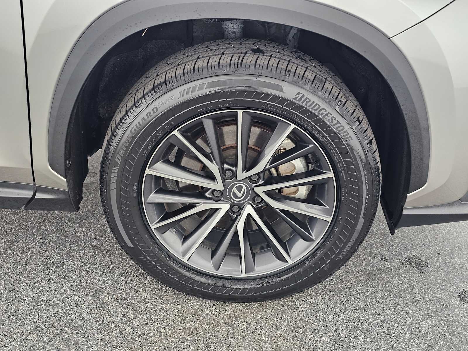 2024 Lexus NX 250 Premium