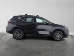 2024 Lexus NX 350h Premium