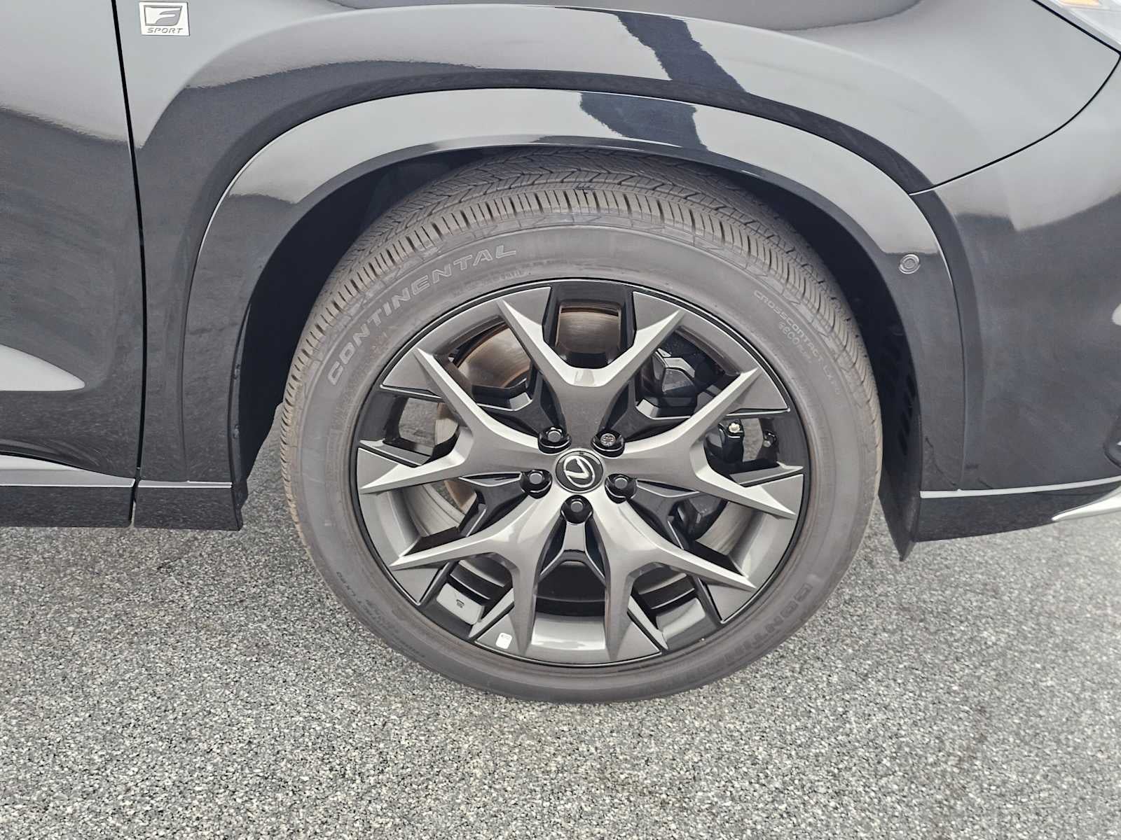 2025 Lexus TX 500h F SPORT Premium