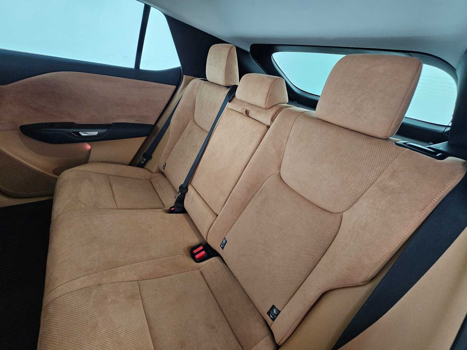 2023 Lexus RZ Luxury