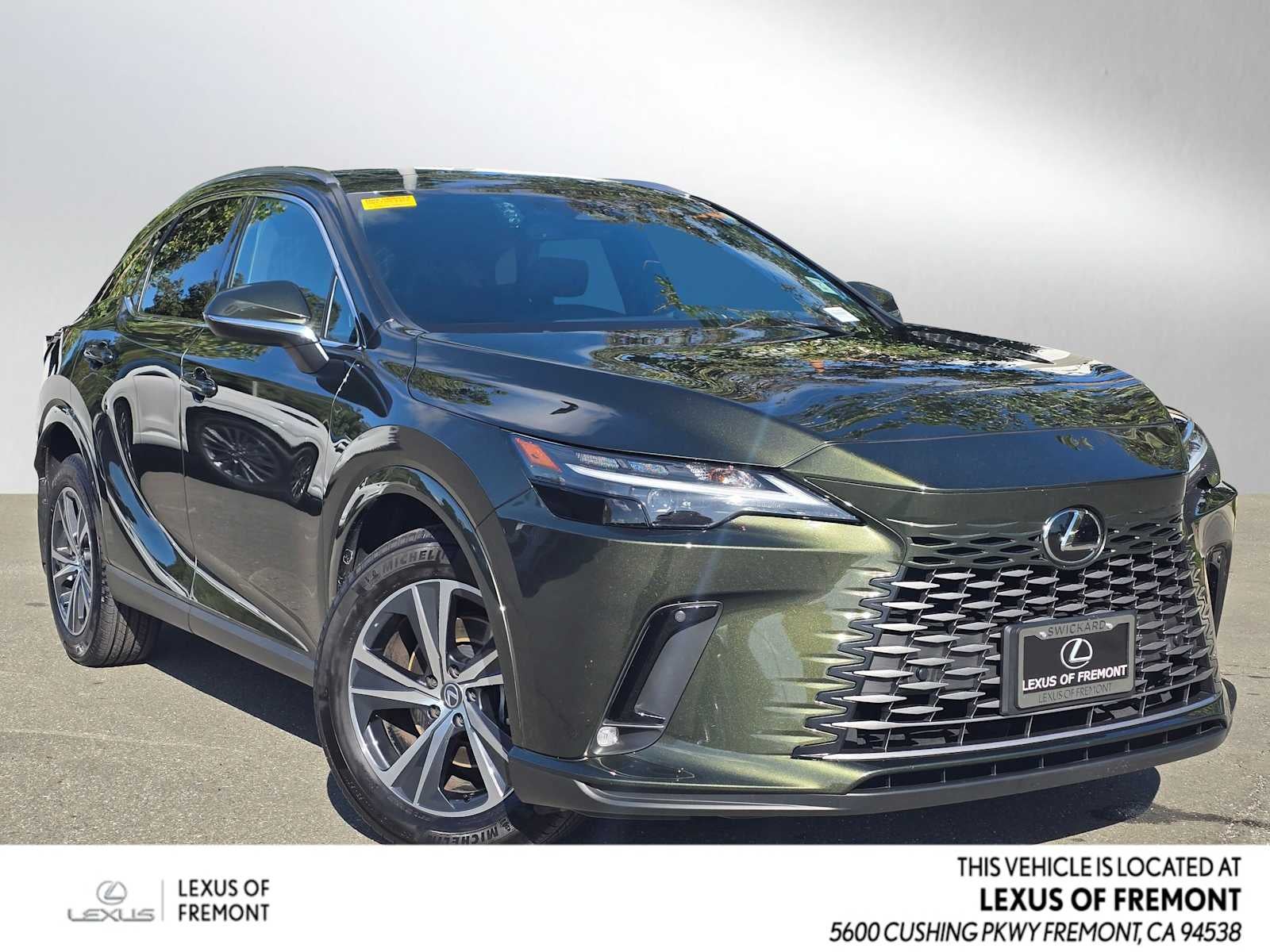 2025 Lexus RX