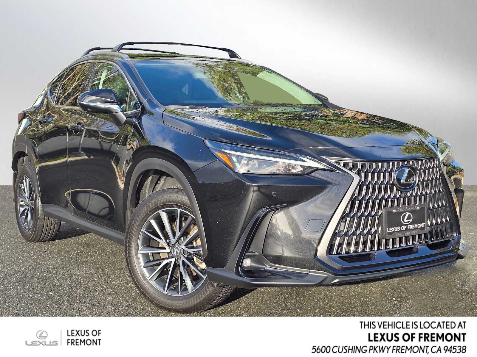 2025 Lexus NX 350h PREMIUM