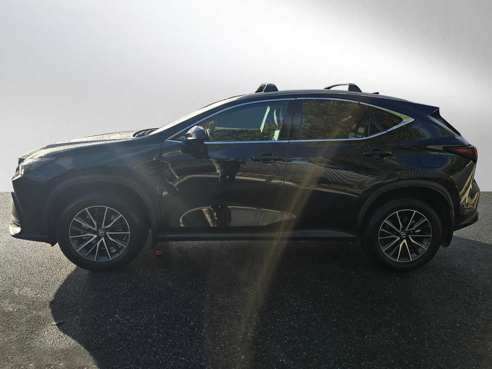 2025 Lexus NX 350h PREMIUM