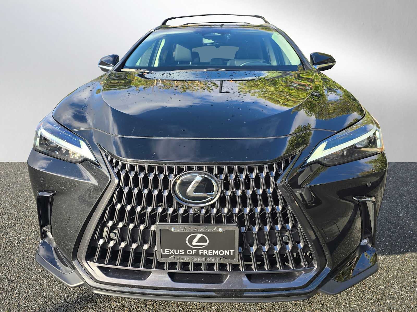 2025 Lexus NX 350h PREMIUM