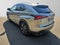 2020 Lexus NX 300 F SPORT