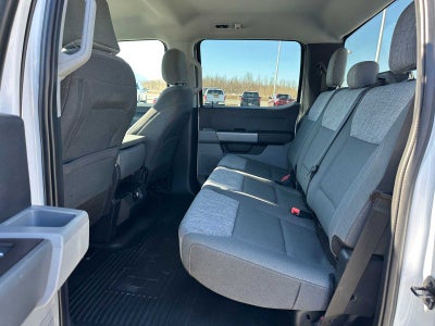2023 Ford Super Duty F-350 SRW Pickup XLT