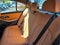 2024 BMW 330e xDrive 330e xDrive