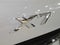 2026 BMW X7 xDrive40i xDrive40i