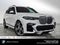 2022 BMW X7 xDrive40i xDrive40i