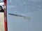 2026 Mercedes-Benz Sprinter 2500 Standard Roof I4 Diesel HO 144 RWD
