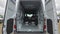 2026 Mercedes-Benz Sprinter 2500 Standard Roof I4 Diesel HO 144" AWD