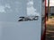 2025 Mercedes-Benz Sprinter Cargo Van 2500 Standard Roof I4 Diesel 144 RWD
